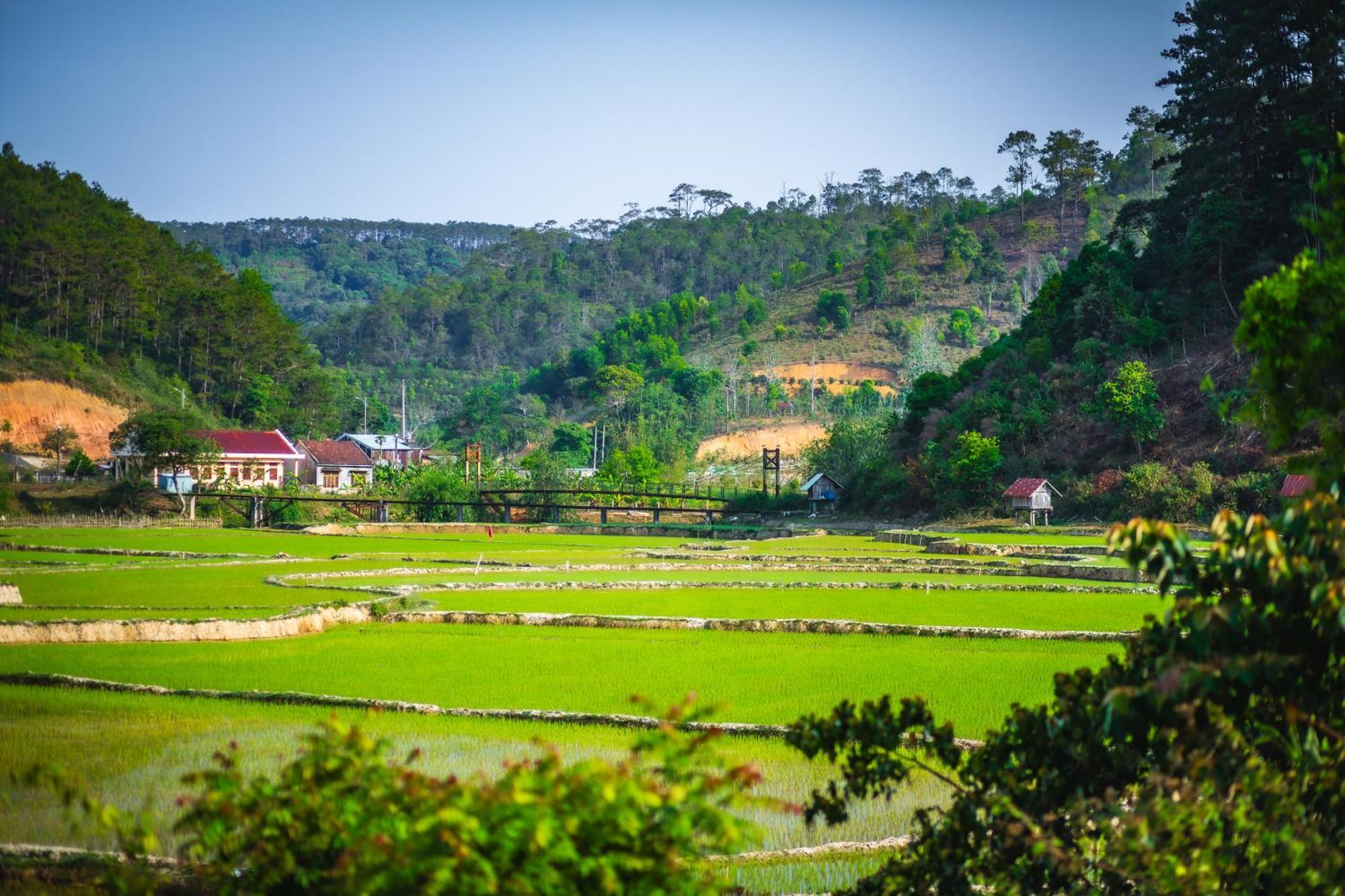 Kon Von Kla Nha Trong Ban - Homestay Mang Den מראה חיצוני תמונה